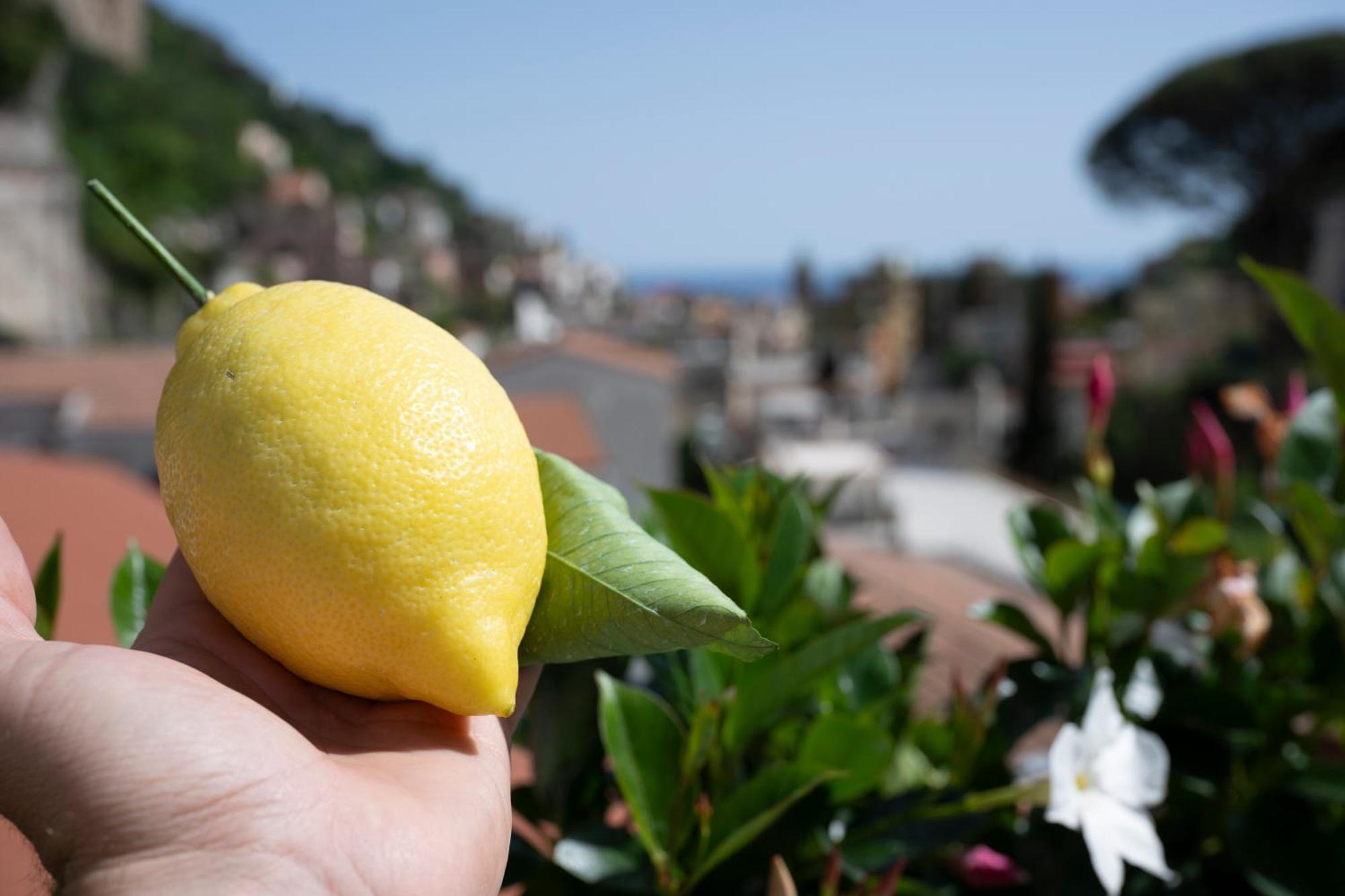 Valle D'Amalfi Suites Buitenkant foto