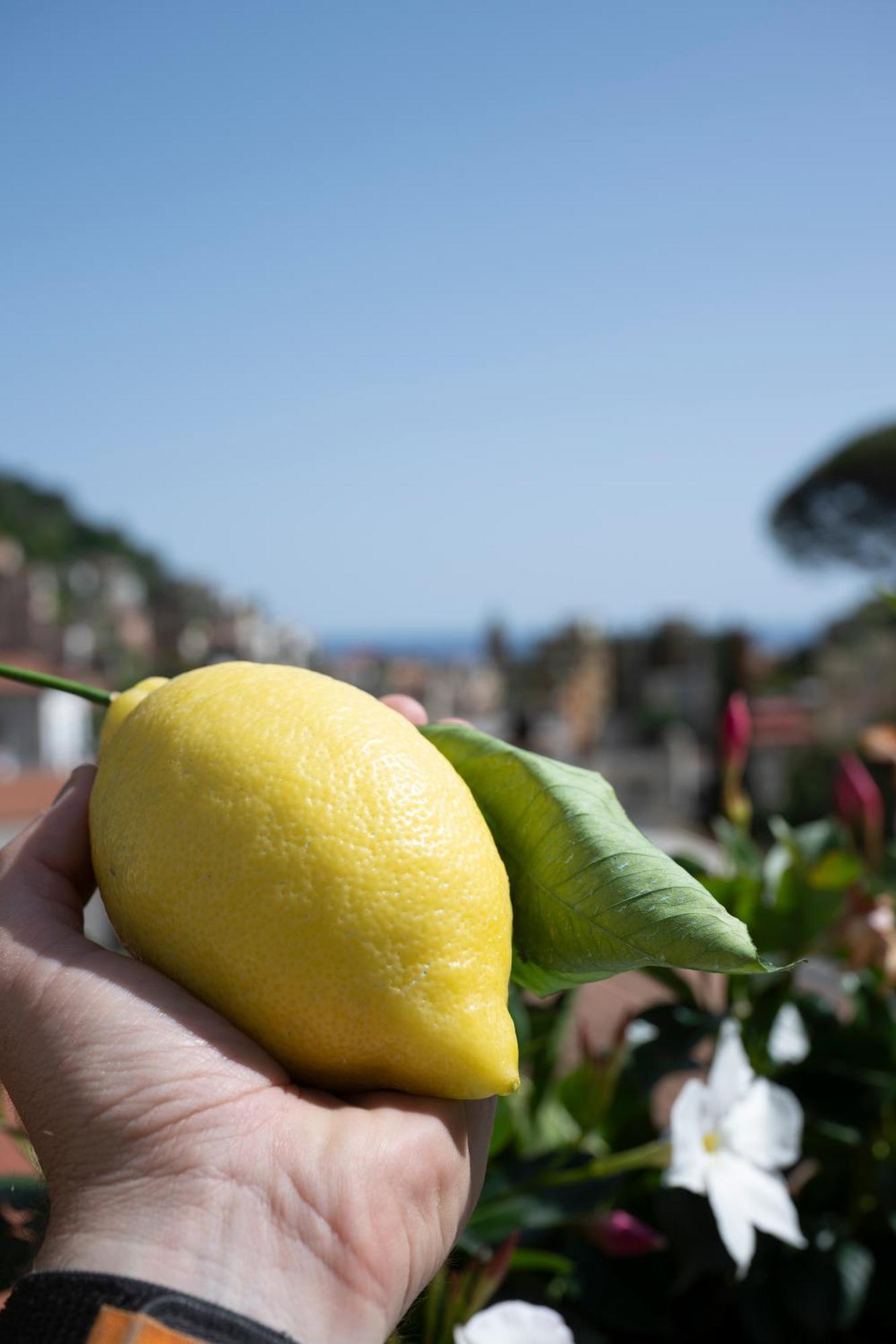 Valle D'Amalfi Suites Buitenkant foto